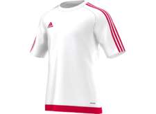 Maillot Estro 2018-2019 avec flocage logo MGFC et sponsor